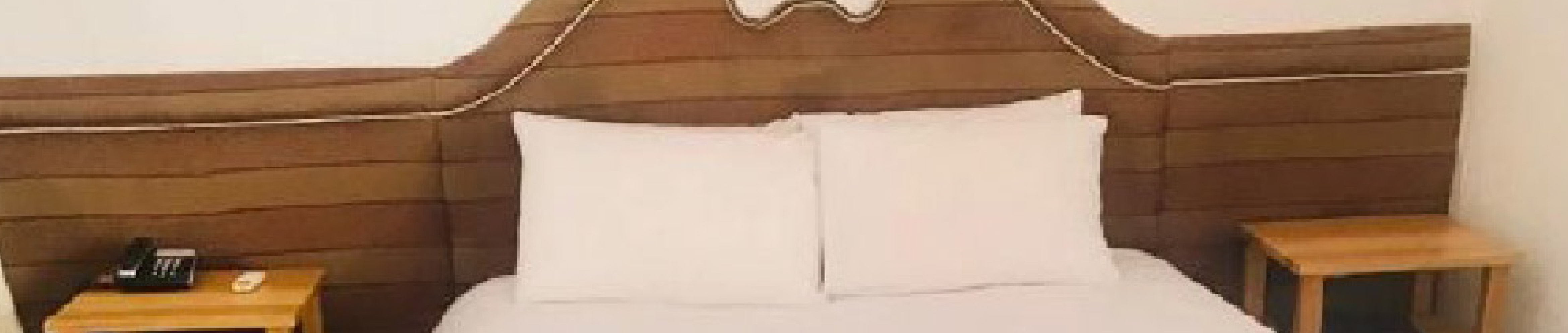 HOTEL SOPHIA SANPEDRO